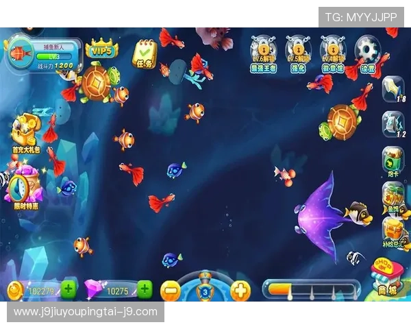 九游真人版会员注册详细步骤及常见问题解决方案全攻略