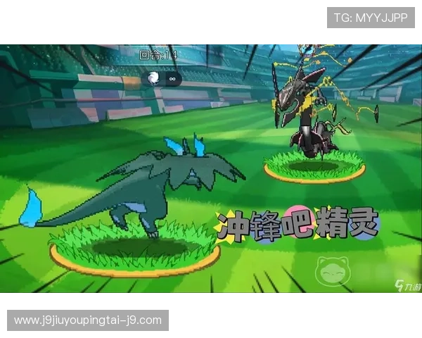 九游网页客户端安全保障措施详解,保障玩家账号与信息安全 九游网页客户端安全保障措施详解,保障玩家账号与信息安全