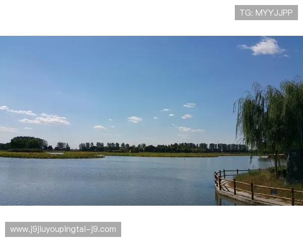 选择9游真人娱乐让你感受最专业的真人荷官服务与极致游戏体验